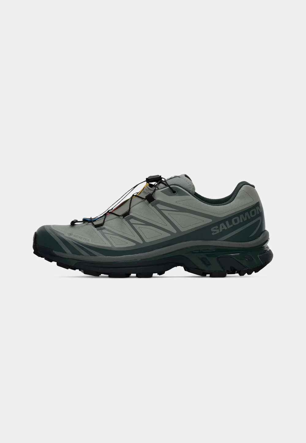 Salomon XT-6 GTX IRON Sedona Sage