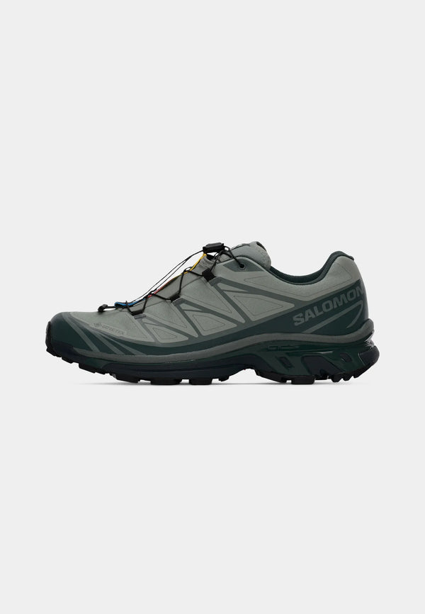 Salomon XT-6 GTX IRON Sedona Sage