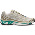 Salomon XT6 Rainy Day / Chinchilla