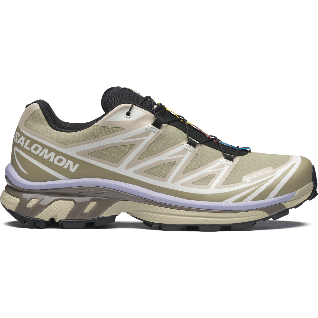 Salomon XT-6 GTX Eucalyptus / Silver Sage