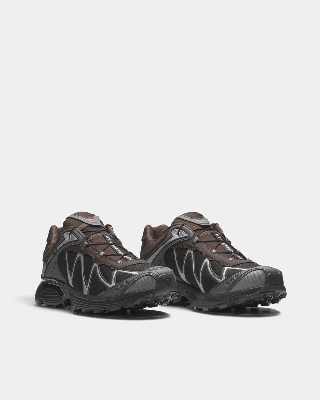 Salomon XT-Whisper Gore-Tex Delicioso/Asphalt/Castlerock