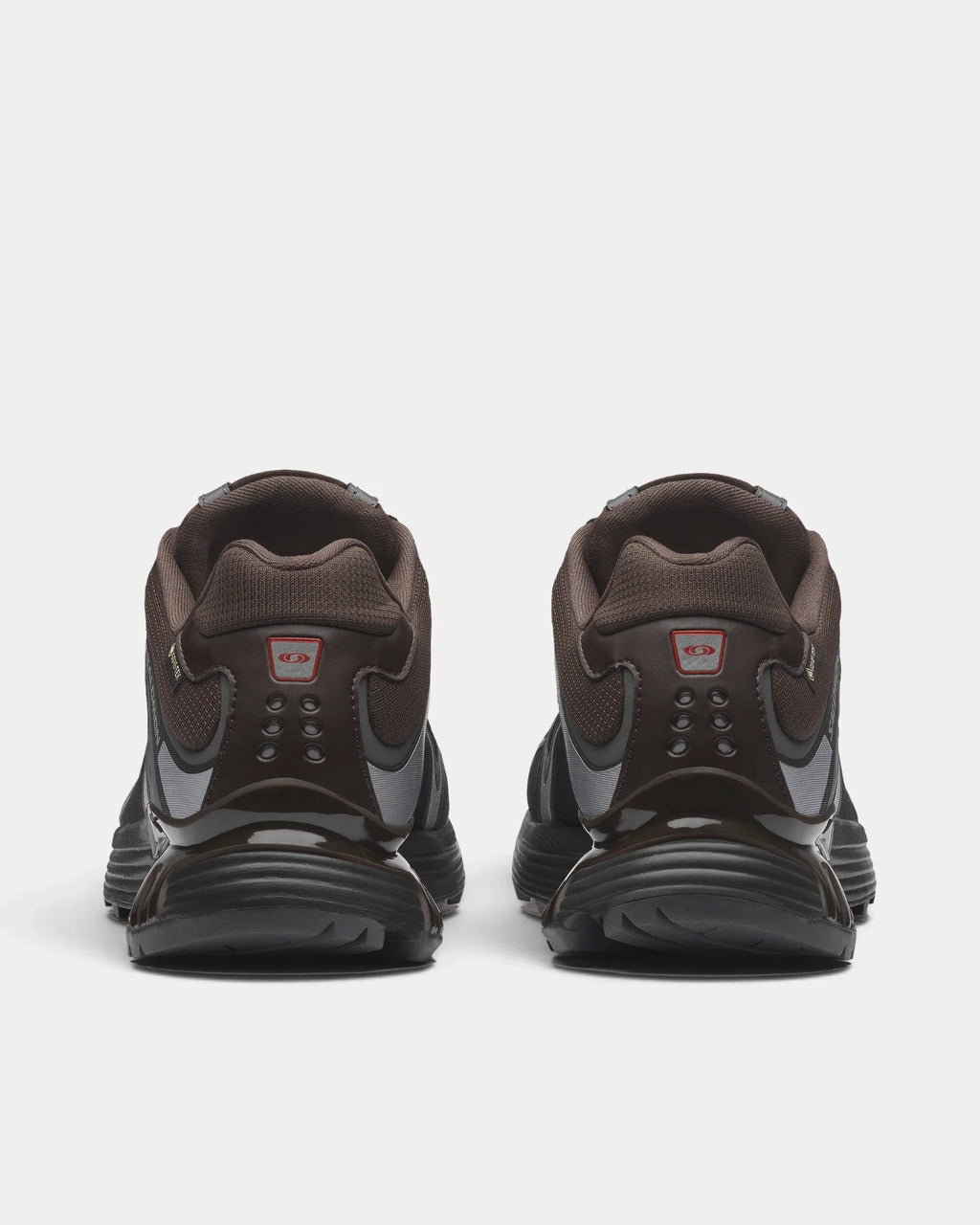 Salomon XT-Whisper Gore-Tex Delicioso/Asphalt/Castlerock